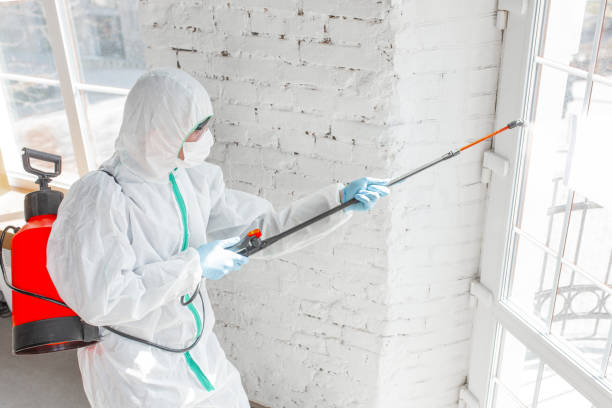 Why You Should Choose Our Mold Remediation Services in Sussex, WI