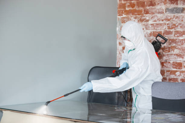 Professional Mold Removal Services in Sussex, WI